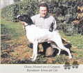 Pedigree AIRONE DEL CELO